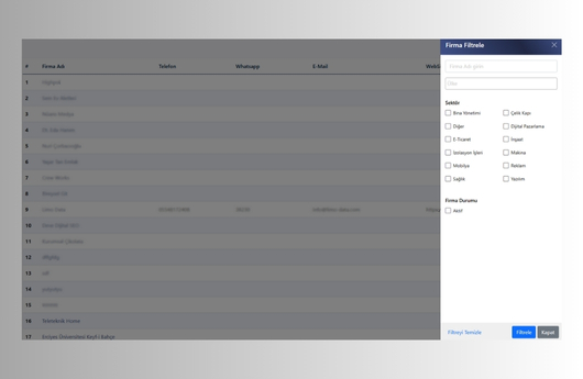 Firma Kategorilendirme